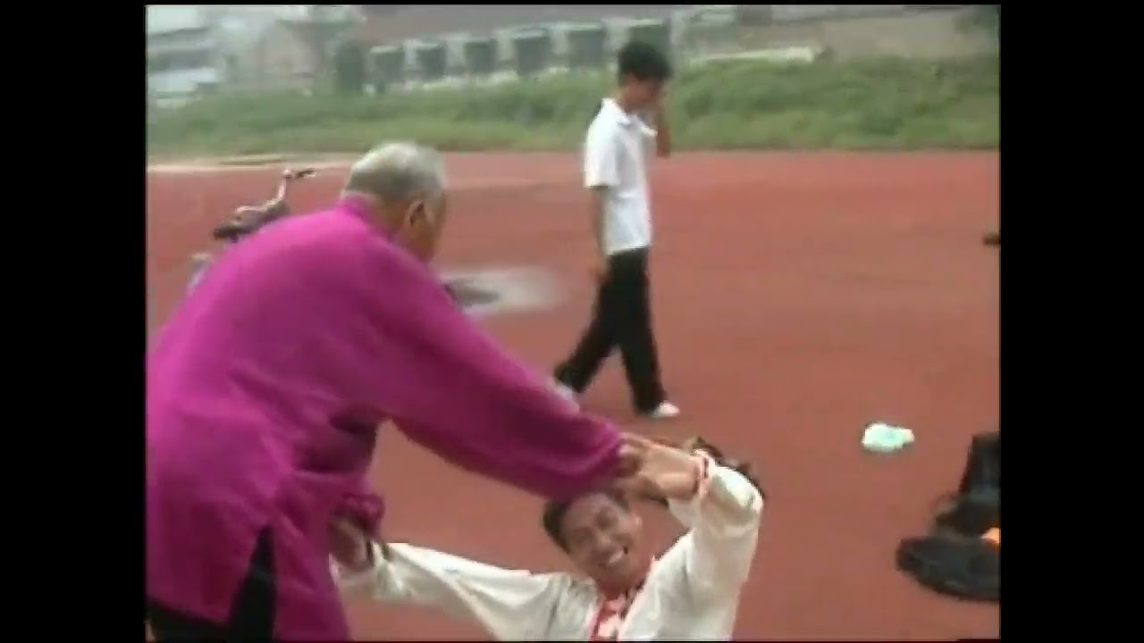 梅花桩技击(拧拳) 燕子杰老师演示
