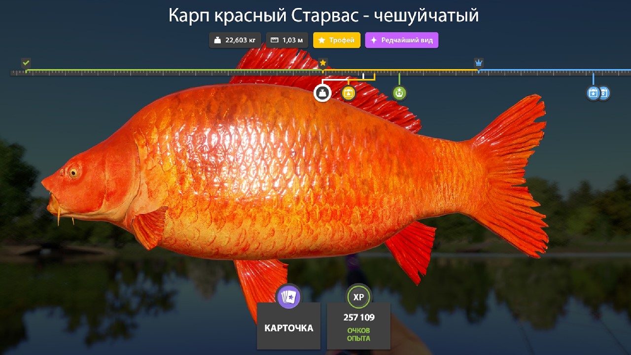 НОВЫЕ ФАРМЫ СЕРЕБРА и РАЗДАЧИ ТРОФЕЕВ! СВОДКА по ВОДОЁМАМ на 26.03 в Русской Рыбалке 4! РР4