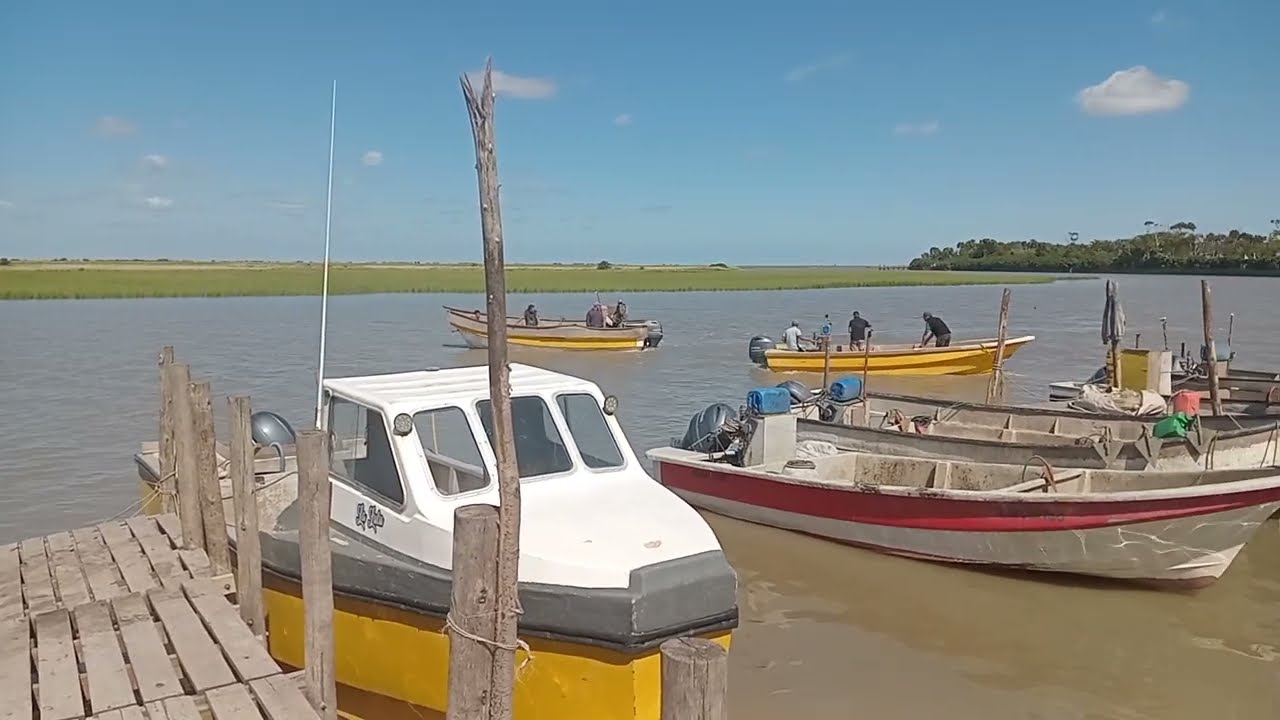 Mañana en el Puerto de San Clemente del Tuyú
