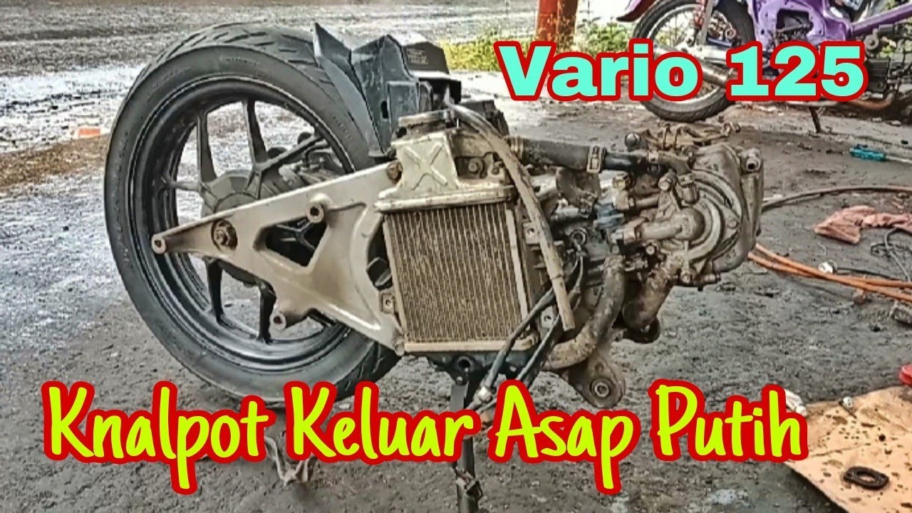 Vario 125 Ngebul Putih @Asm Channel