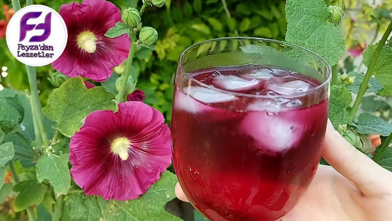 Hollyhock sherbet from Ottoman cuisine❗️Osmanlı mutfağından gülhatmi şerbeti Nasıl yapılır✅️ #asmr