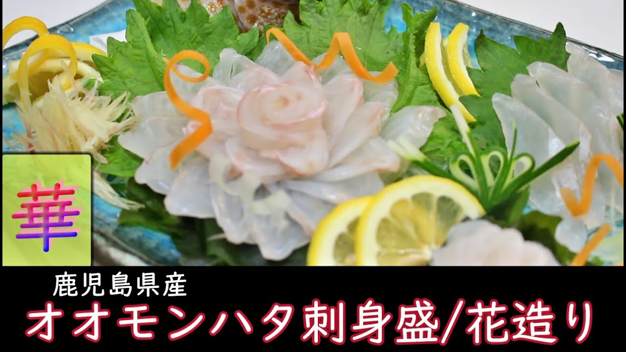 オオモンハタのさばき方と刺身の作り方/薄造り/皮引き/寄生虫/すき引き