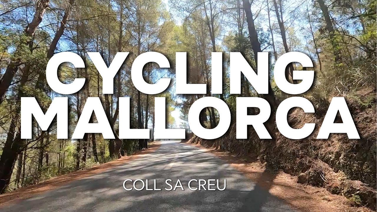 Cycling Palma Mallorca| POV | ASMR | Road Bike | From Where I Ride