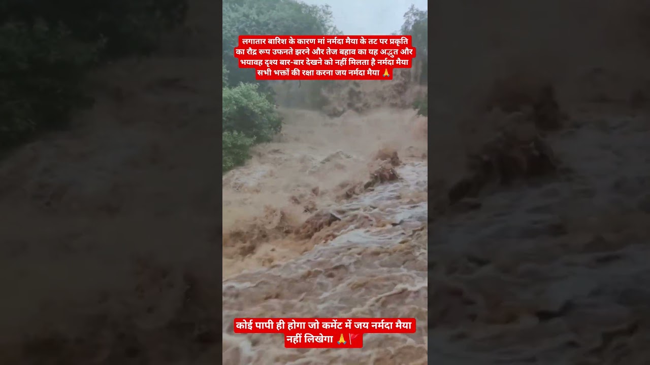 उफनती नर्मदा मैया का यह अद्भुत दृश्य बार-बार देखने को नहीं मिलेगा#NarmadaRiverFlood#HarHarNarmade