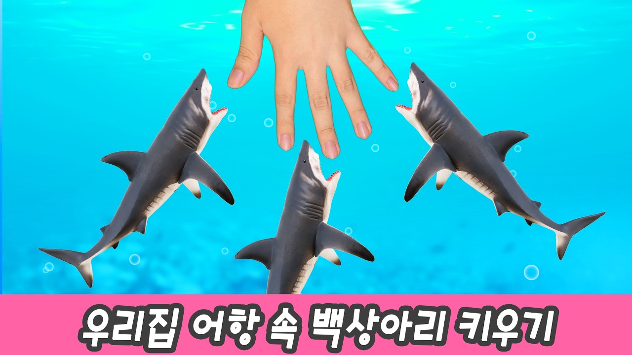 우리집 어항 속 백상아리 키우기! 어린이 동물 만화, 동물이름 외우기ㅣ꼬꼬스토이