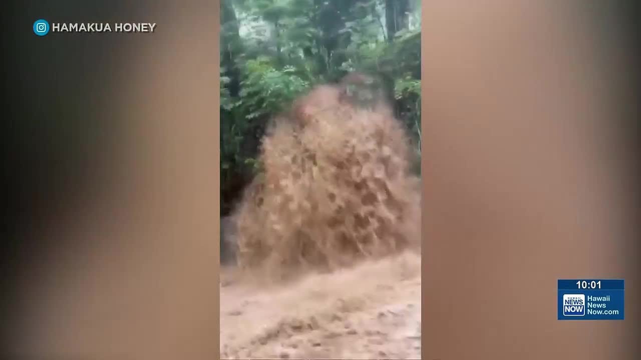 Farmer rescues co-worker from flood in Waialua