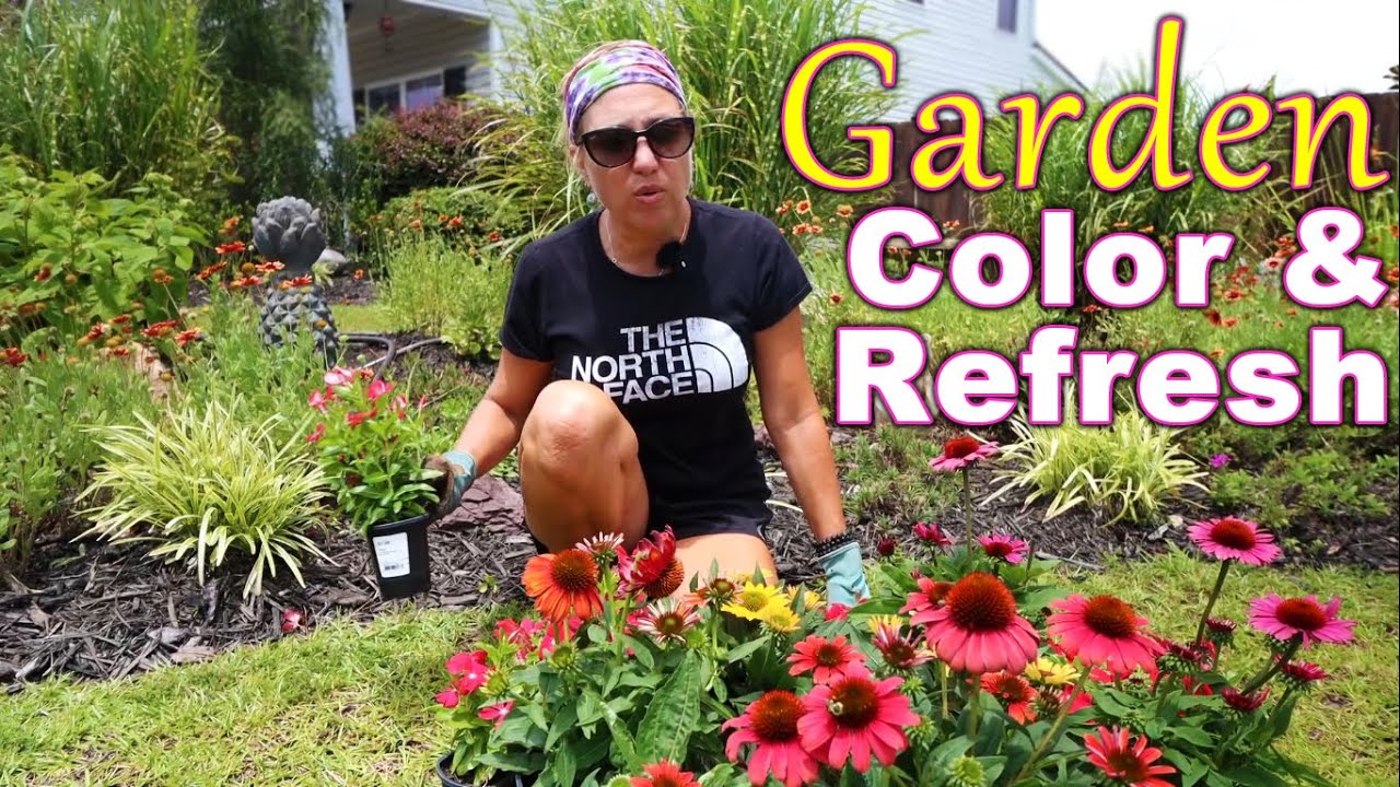 Full-Sun Flowerbed Makeover | Summer Refresh in My Carolina Garden