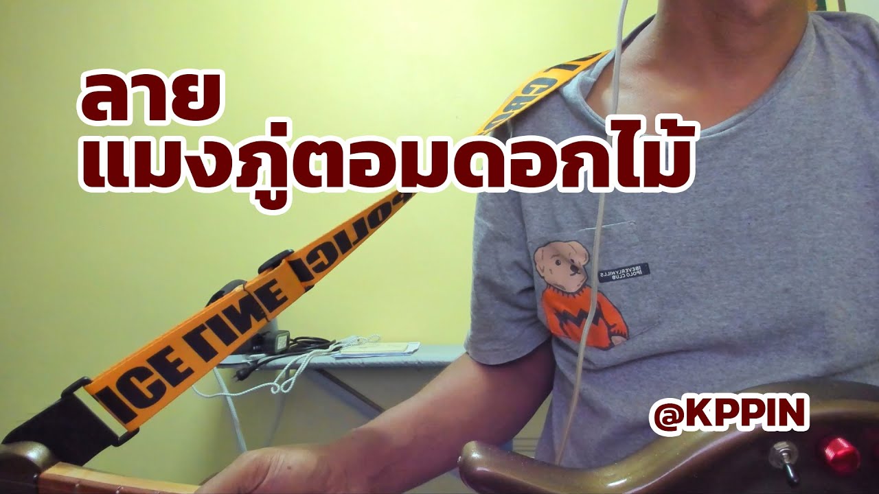 ลาย แมงภู่ดอมดอกไม้ (เต็มเพลง) @KPPIN