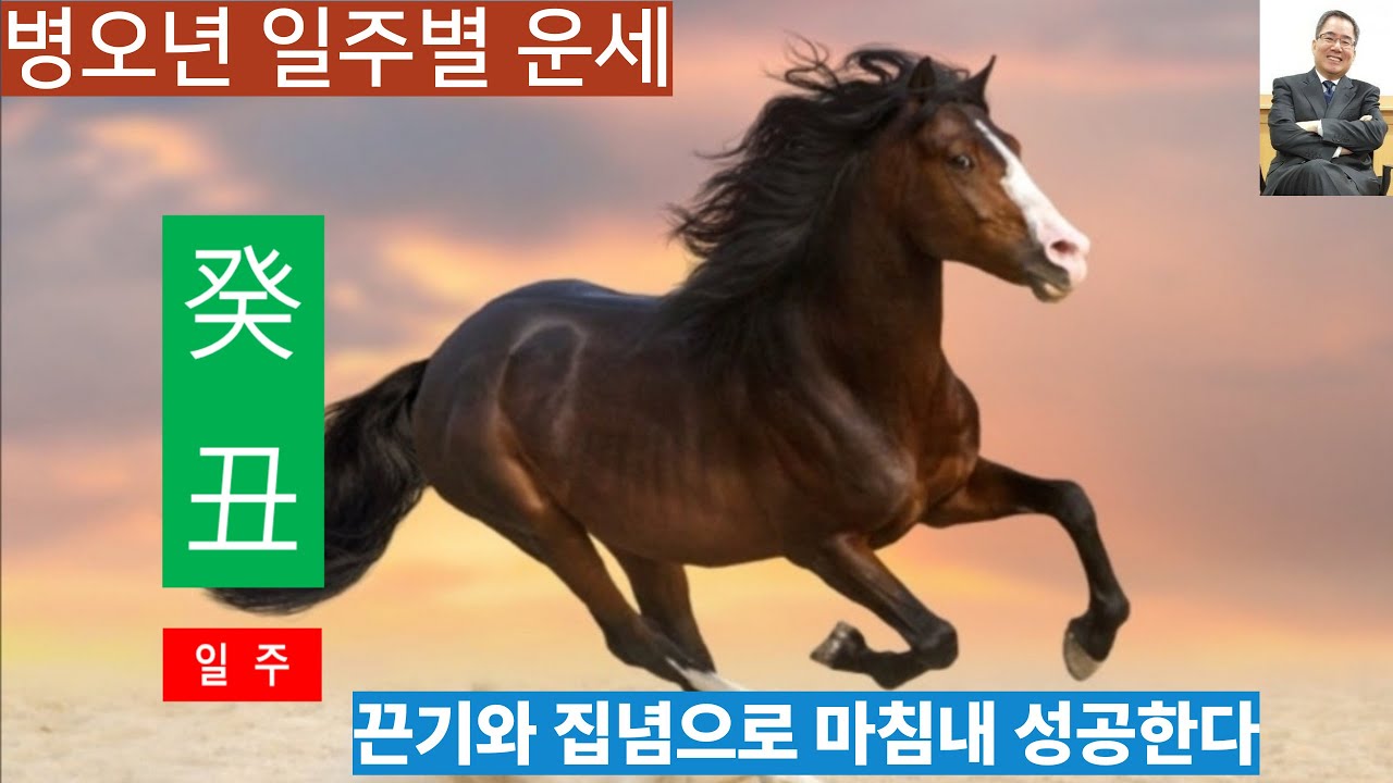 병오년운세ㅣ계축일주, 끈기와 집념으로 목표를 달성한다