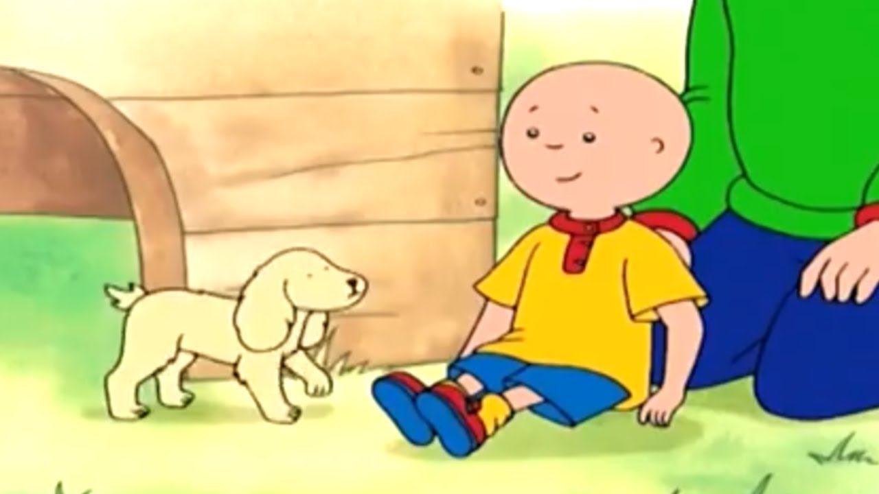 Caillou Türkçe HD | Caillou ve Köpek Evi | kayu cizgi filmi | Caillou Turkish | WildBrain
