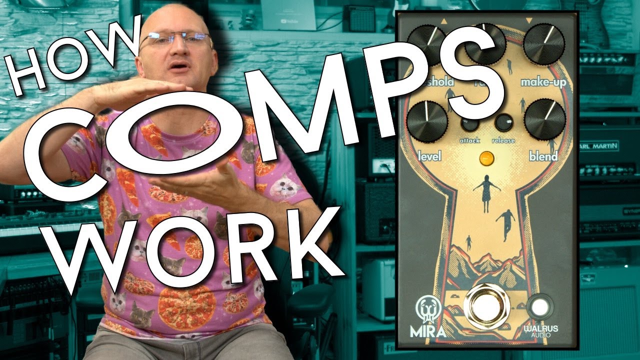 Studio Compressors are complicated! Walrus Audio MIRA