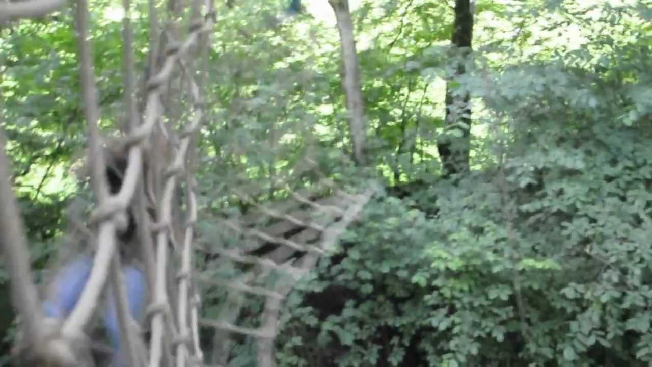 Go Ape Tarzan Swing 1
