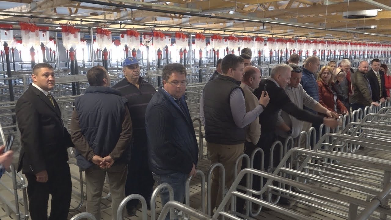 Bonafarm-Bábolna Sertés Road Show