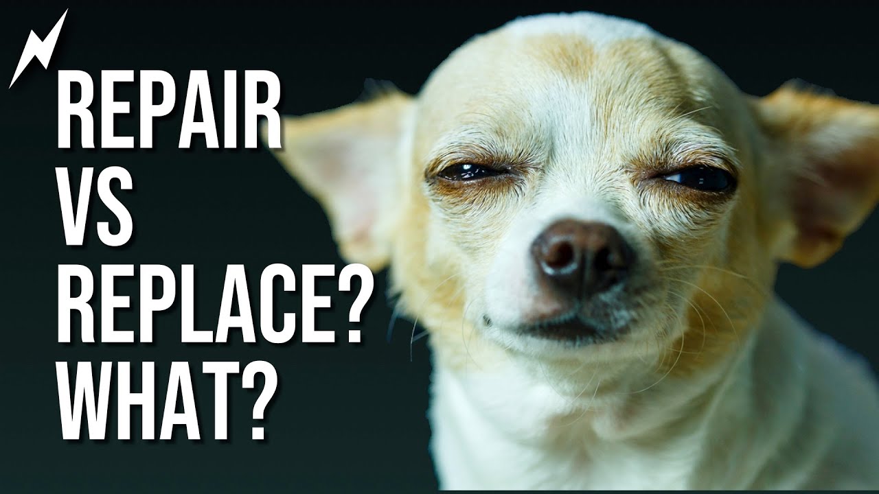 How to determine REPAIR vs REPLACE in property claims