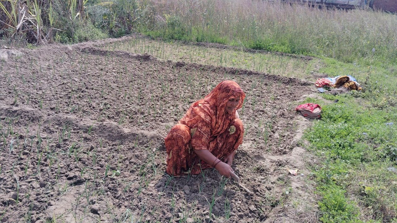 Pyaj Ki Kadhai ho rahi hai uska video
