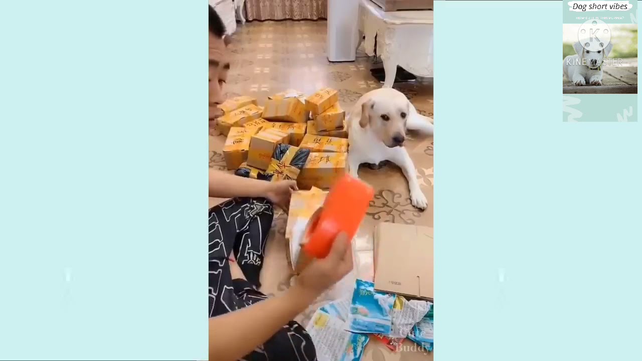 🐶smart dog help his owner 🐕 #short