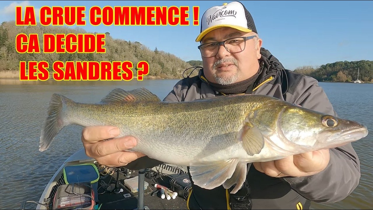 La crue commence , ça va décider les SANDRES ?  VERTILIVE !