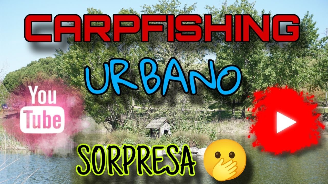 CARPFISHING URBANO | SORPRESA | 2026