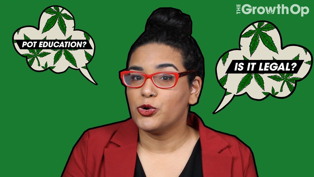 Can I promote cannabis products if it&rsquo;s educational? | Is It Legal?
