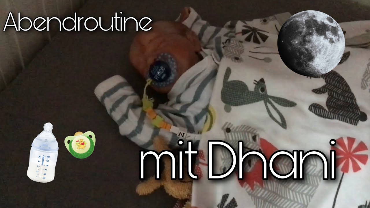 Abendroutine mit Dhani || Reborn Baby Deutsch