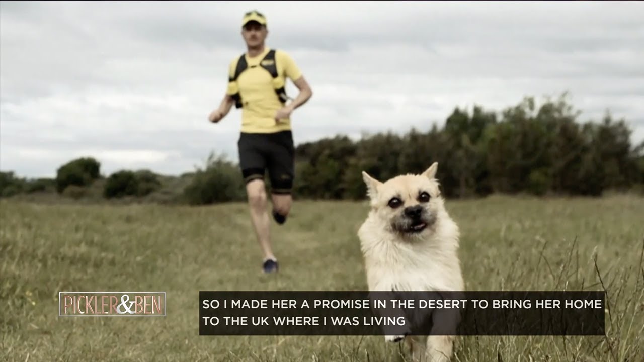 The Amazing Story Of A Stray Dog And A Marathon Runner - Pickler & Ben