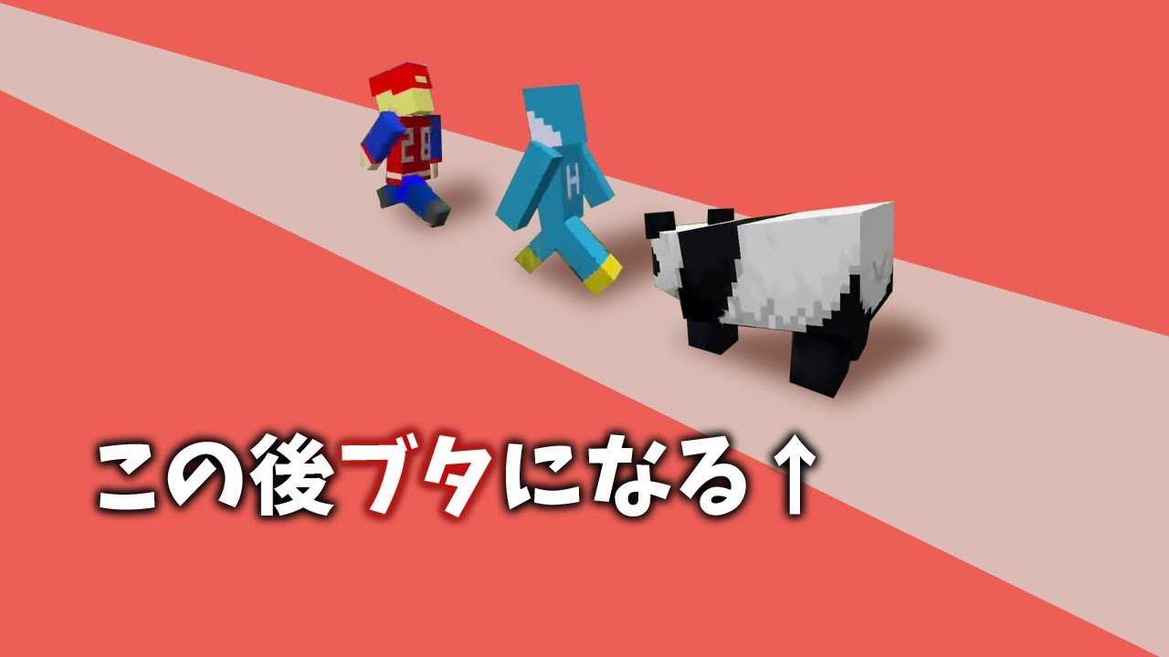 連れ帰り途中のパンダがブタになっちゃう事件【hacchiとマイクラ】