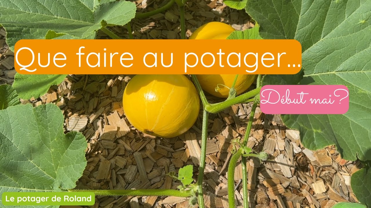 DEBUT MAI : Que faire au potager ? (LE POTAGER DE ROLAND)
