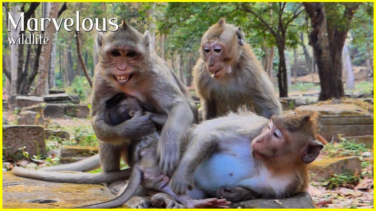Uncomfortably Jane's daughters a moment, Destiny's arrival & b/othersome of them, Great mom Jazzy