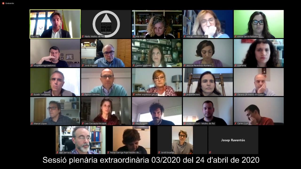 Ple extraordinari 03/2020 del 24 d'abril de 2020