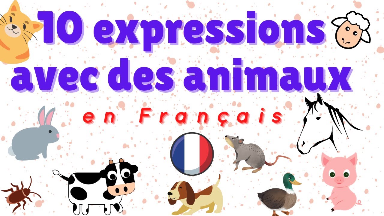 10 expresiones idiomáticas con animales en francés | 10 expressions idiomatiques avec des animaux