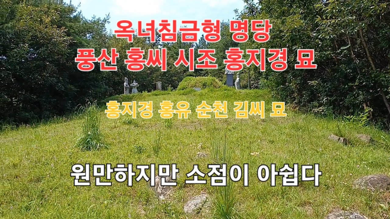 안동시 풍천면 신성리에 있는 옥녀침금형 풍산 홍씨 시조 홍지경의 묘와 배위 순천 김씨 손자 홍유의 묘를 간산해 봅니다