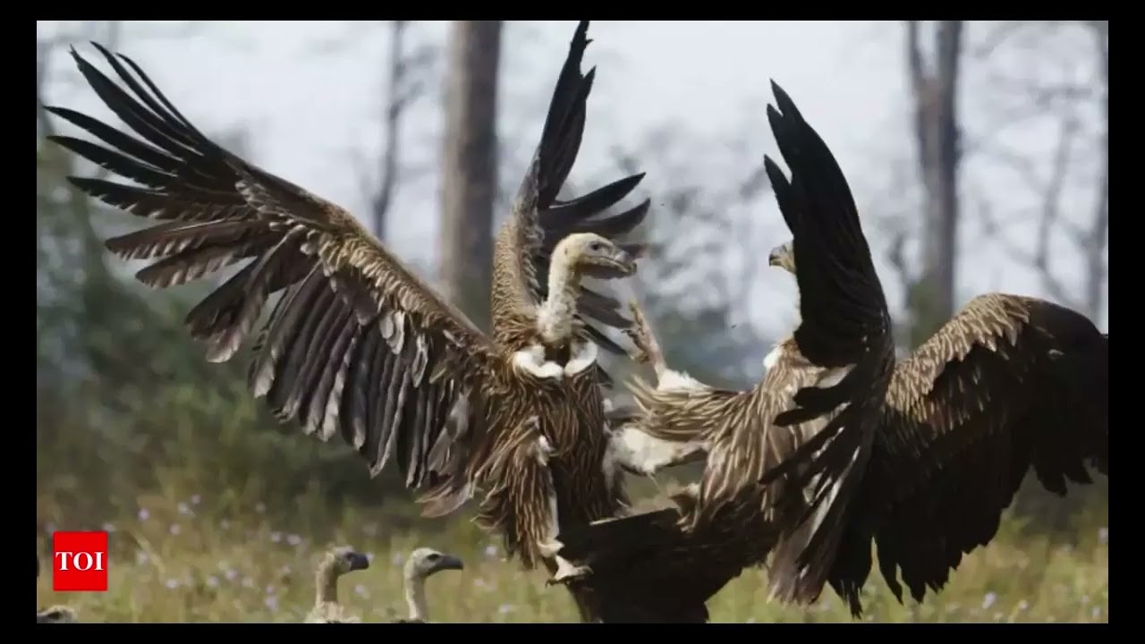 Zoroastrianism and arch angels