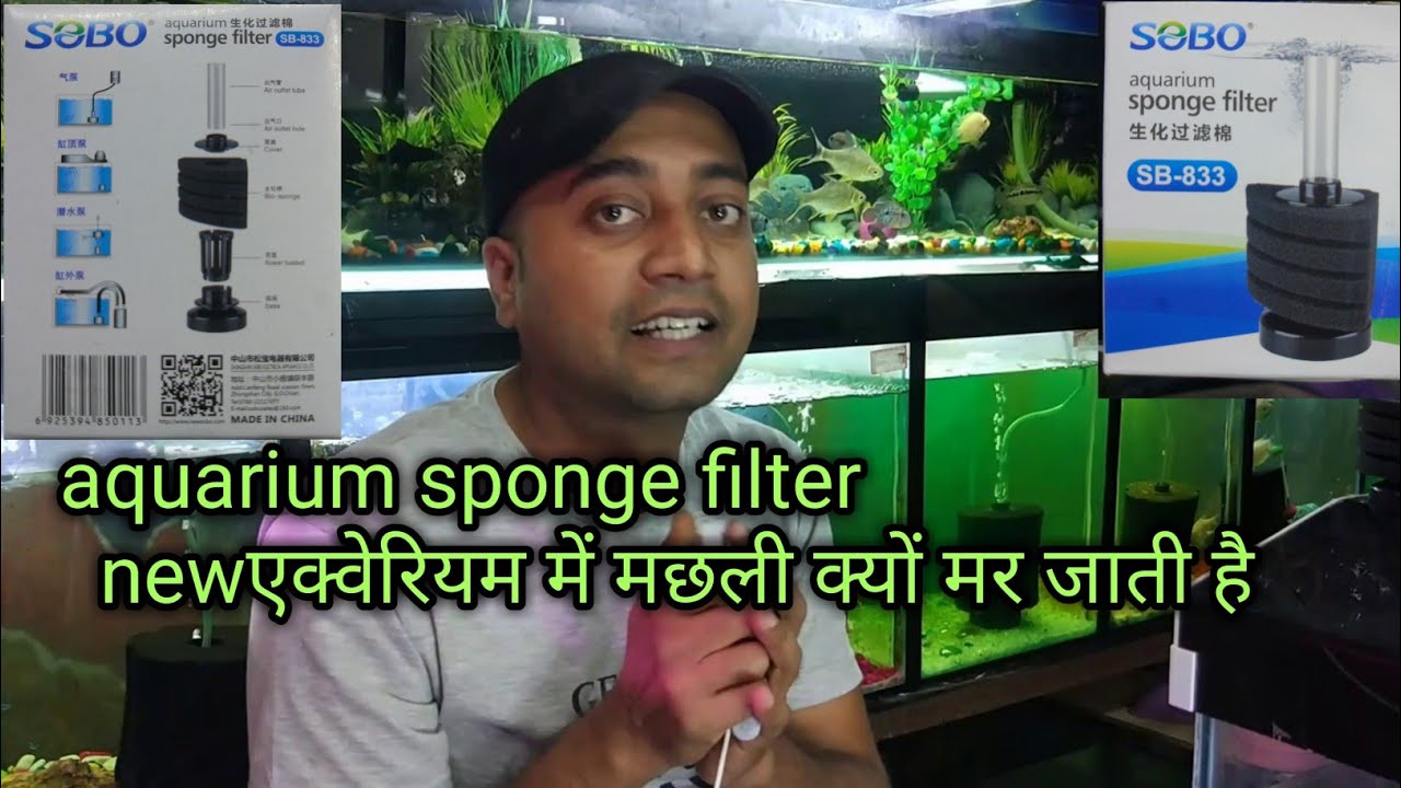 aquarium sponge filter and benifisari bacteria1
