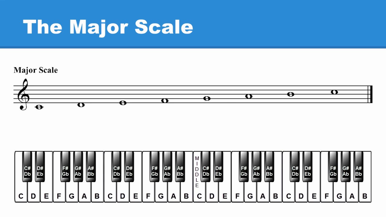 Lesson 7: Major Scale: Intro to Half-Steps & Whole-Steps