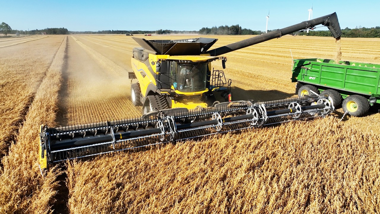 New Holland CR10 with 45ft. MacDon FD245 Havesting Oat | Big Harvest