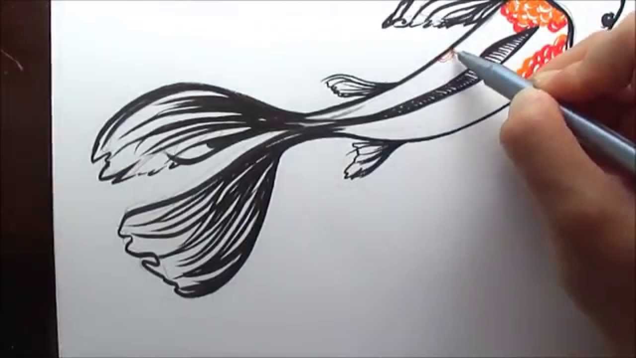 How to Draw A Koi Fish (Simple and Easy Illustration)