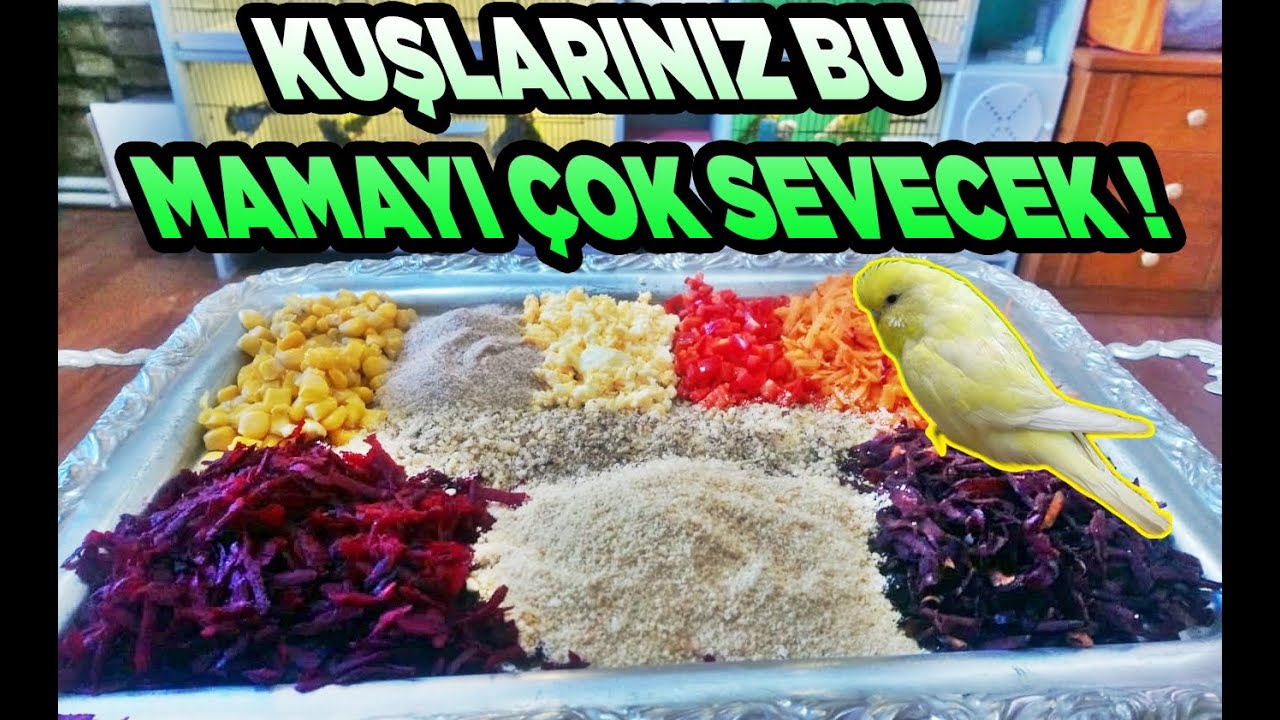 KIZIŞTIRICI MAMA TARİFİ - %100 ÇİFTLEŞME GARANTİLİ