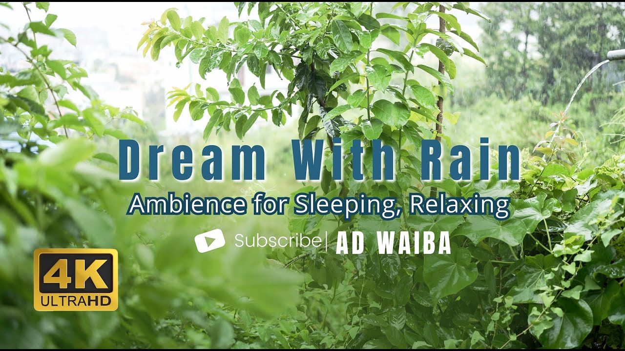 Dream With Rain