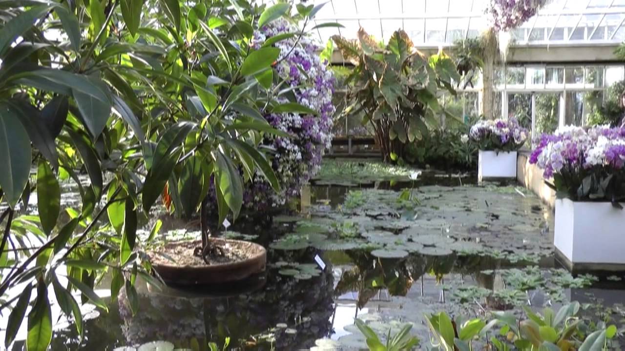 Plantentuin Meise
