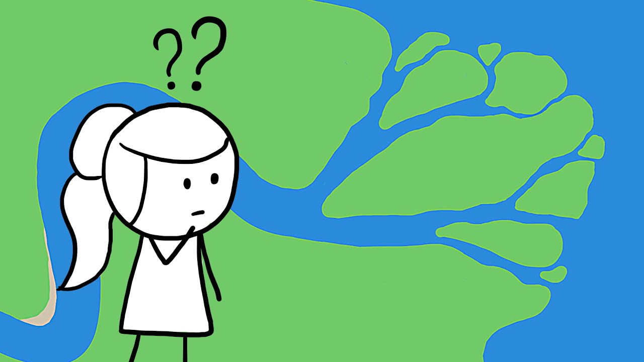 Why Do Rivers Have Deltas?