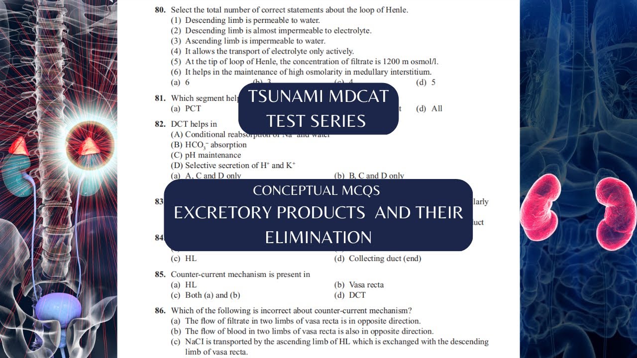 Excretory System | Excretory Products and Their Elimination | MCQs | Part 3 | TSUNAMI TEST SERIES