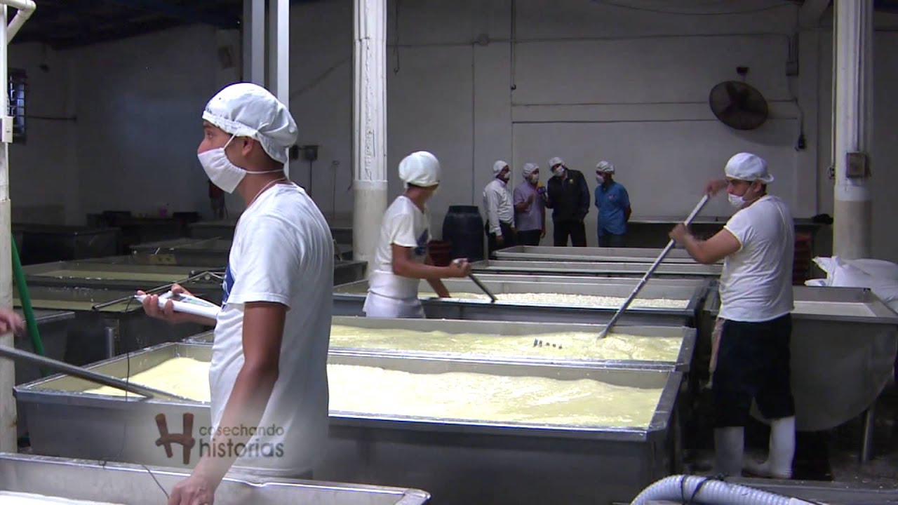 QUESAFRAN -QUESERÍA SAN FRANCISCO- PIJIJIAPAN, CHIAPAS / COSECHANDO HISTORIAS