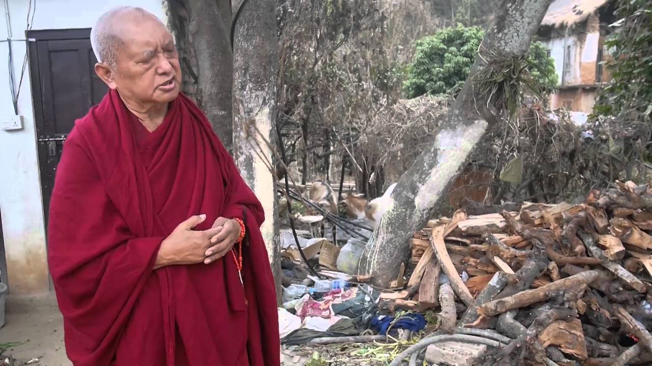 Lama Zopa Rinpoche Animal liberation at Maratika Cave