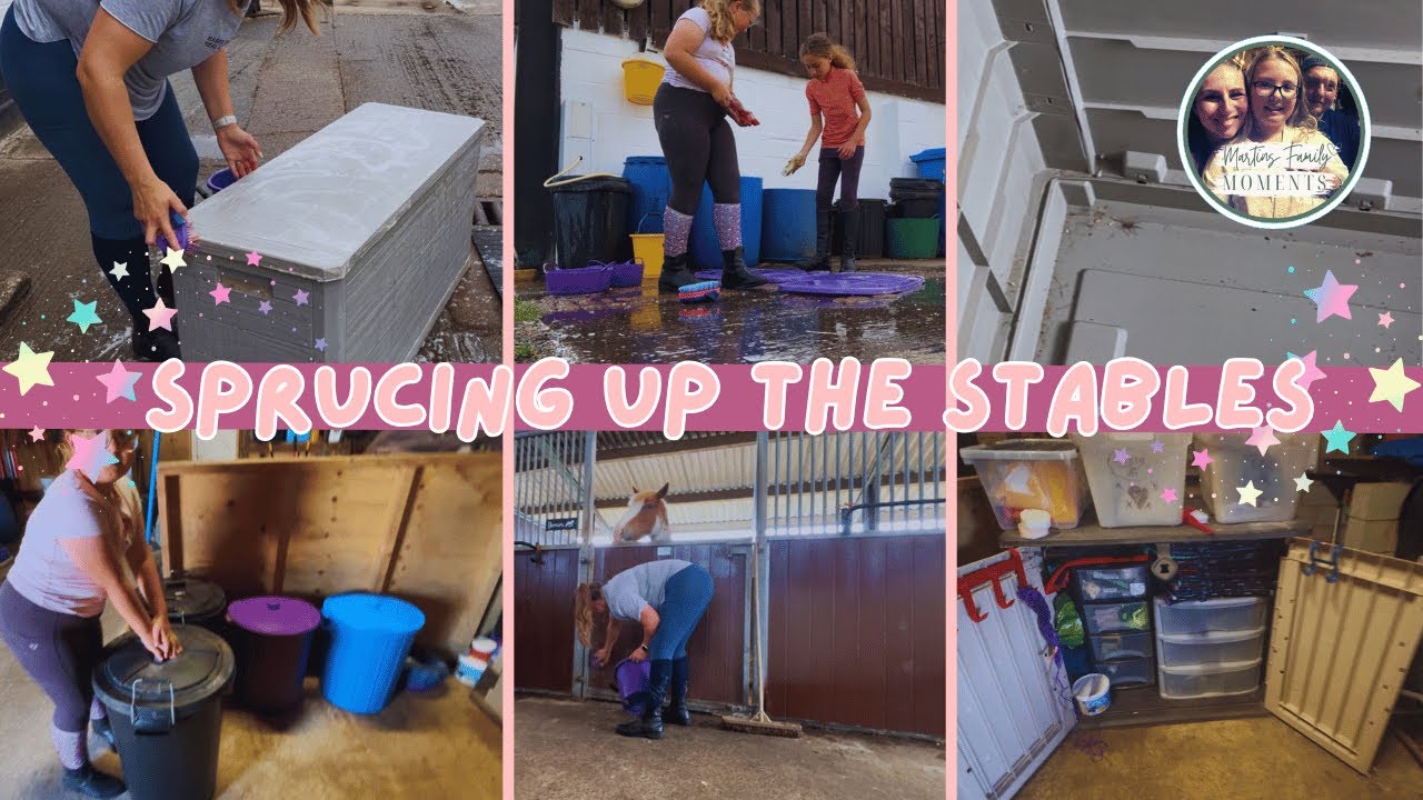 Sprucing up the stables - final stable makeover episode ✨ 🧹 🐴  🧼 🚿