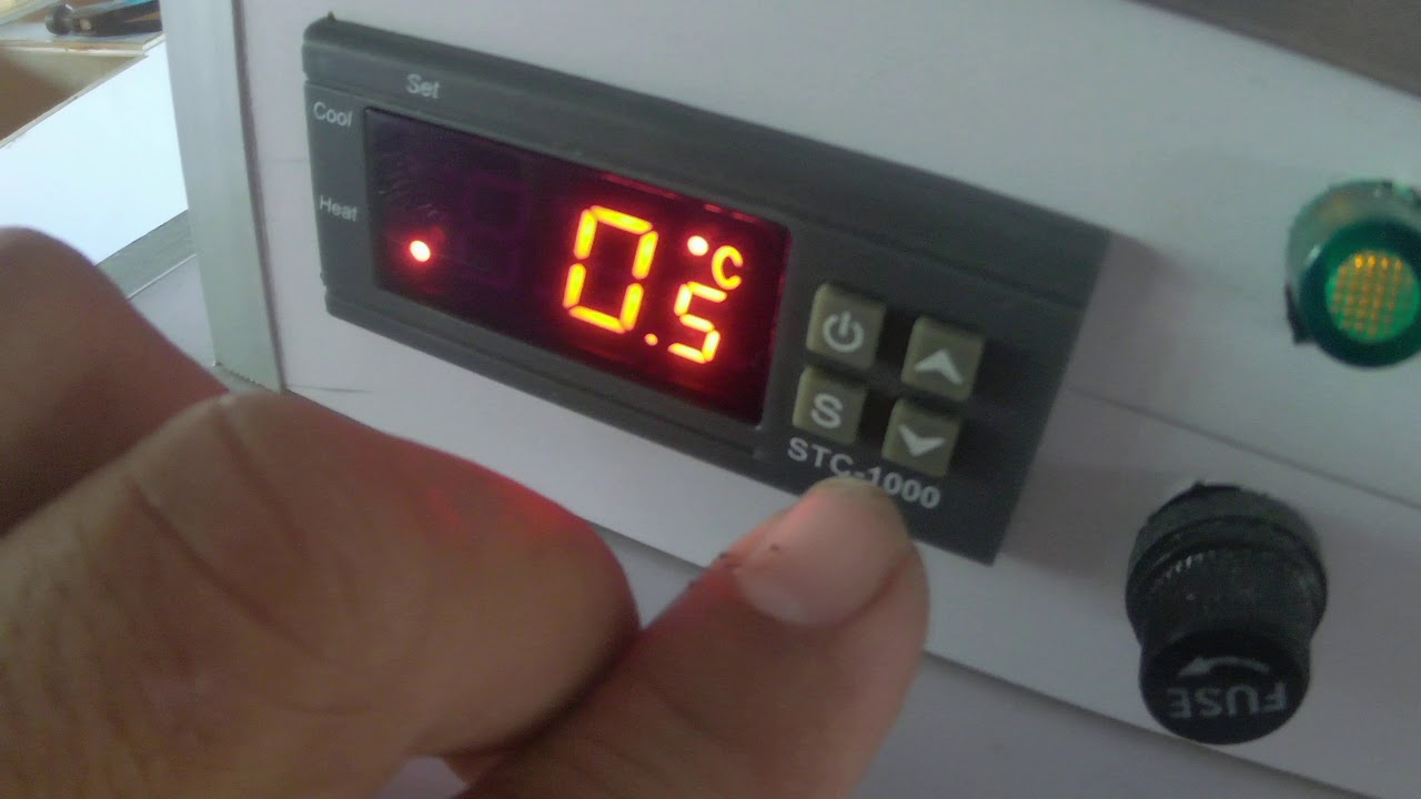 How to set up STC 1000 Thermostat/ Paano i-set up ang STC 1000 Thermostat(AR Incubator)