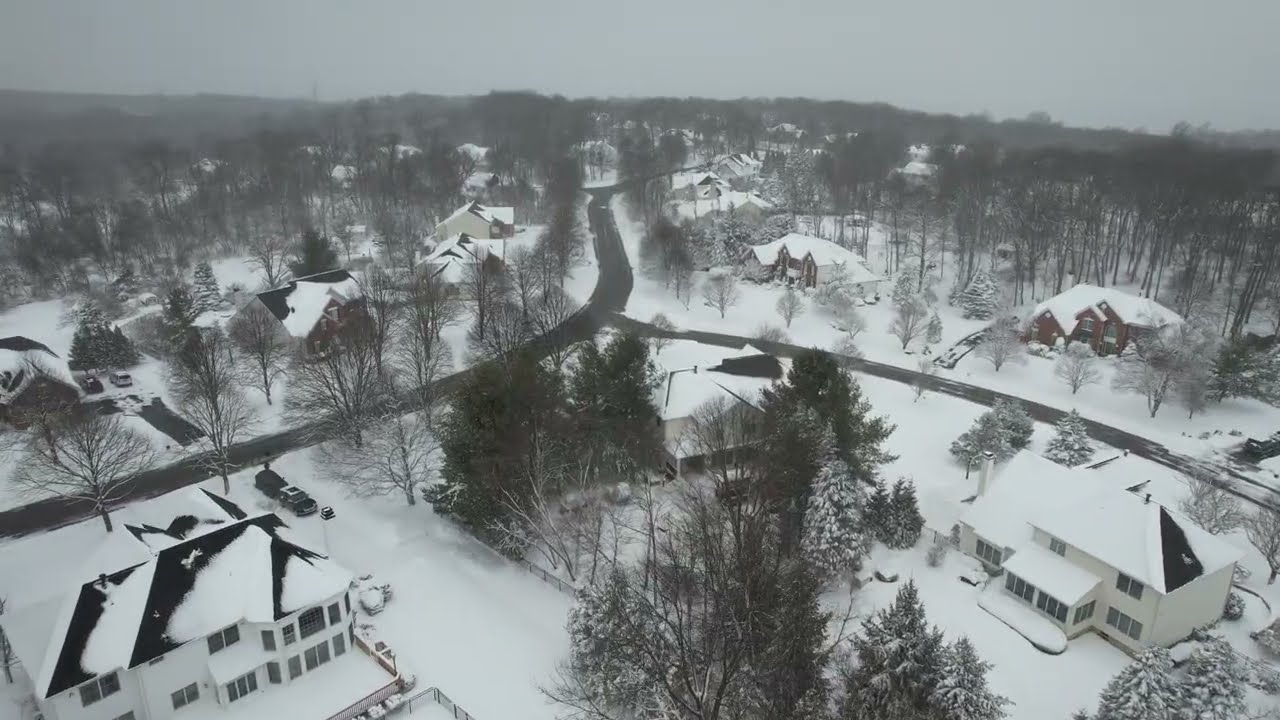 Snowday 2/23/2026