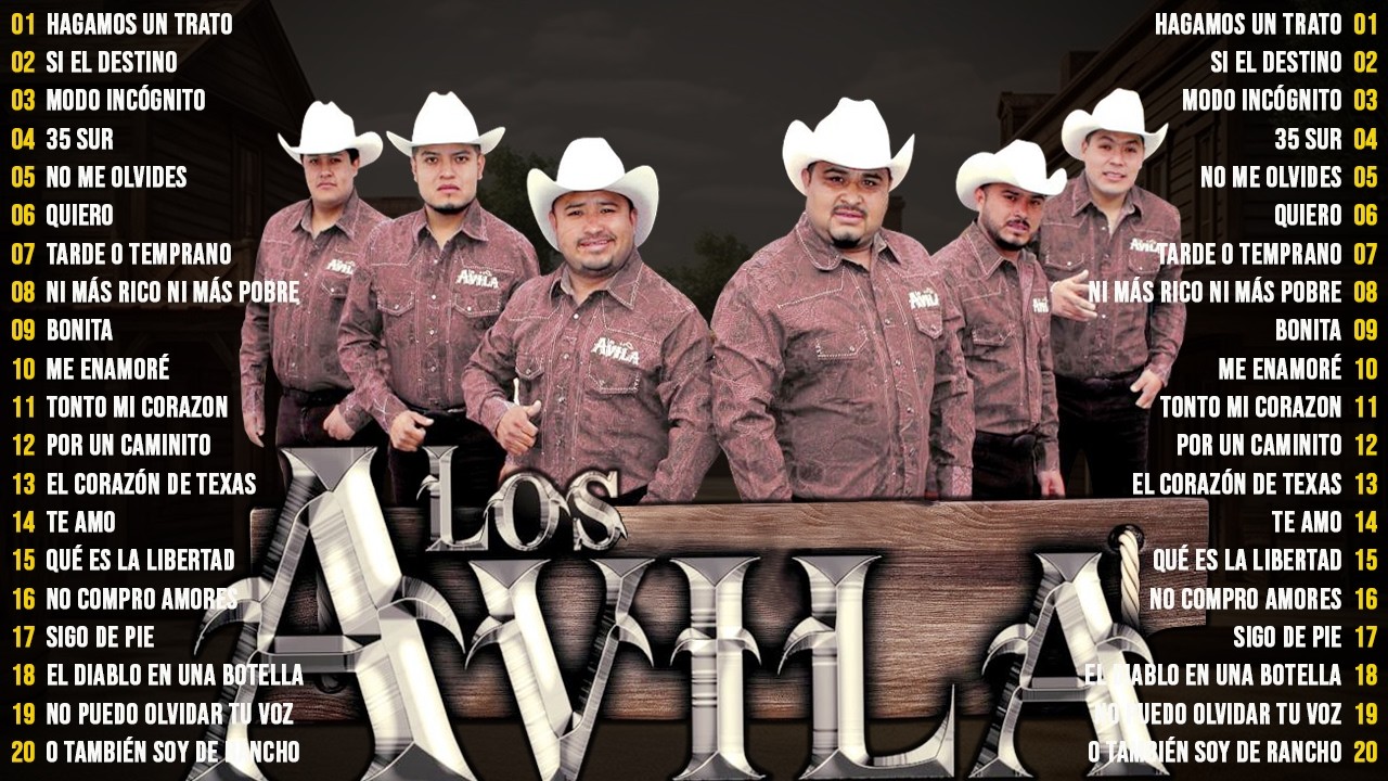 30 Grandes Éxitos De Los Avila – Norteñas Para Pistear 🍻🎶