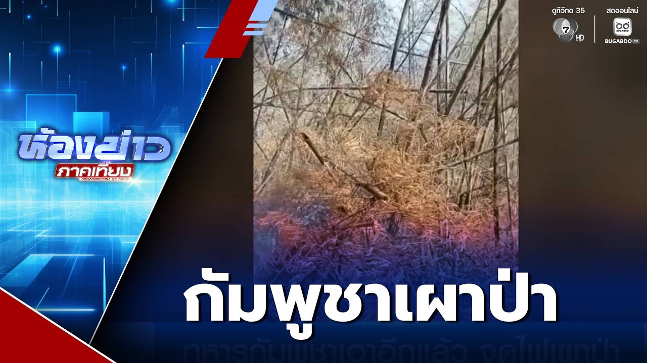 ทหารกัมพูชาเอาอีกแล้ว จุดไฟเผาป่า | ห้องข่าวภาคเที่ยง