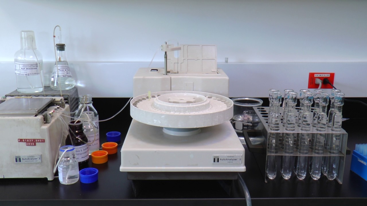 Maize protein determination