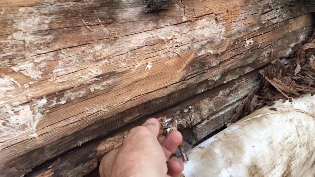 Lindal Cedar Homes apparent design defects caused massive rot behind the north balcony connection.